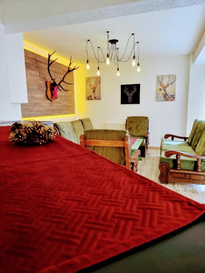 بويانا براسوف Tache Villa 1 المظهر الخارجي الصورة